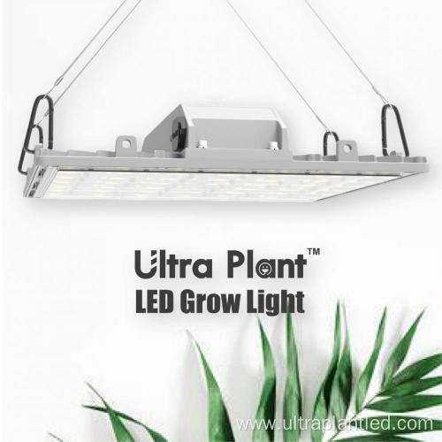 660nm 730nm Red high quality led grow light